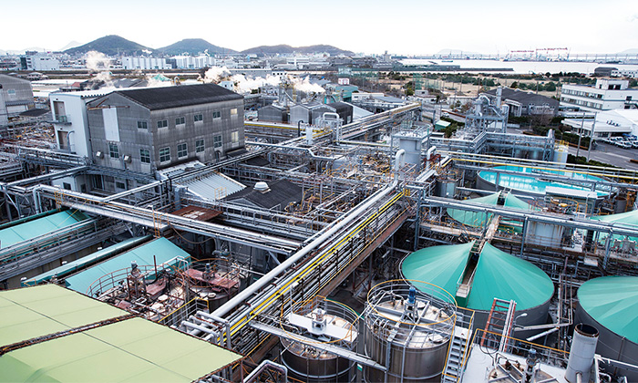 海の水から何ができるの?